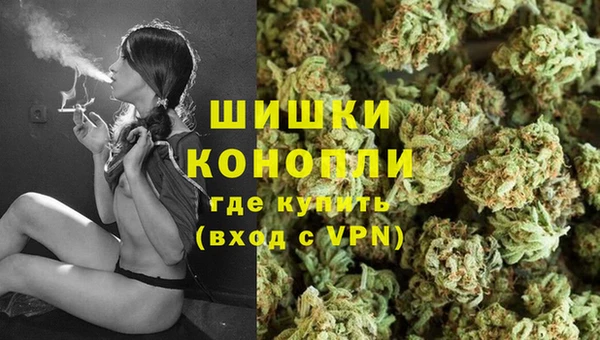 индика Алзамай