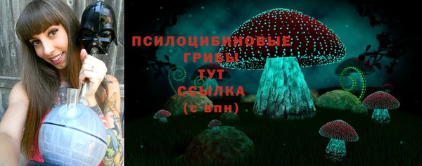 индика Алзамай
